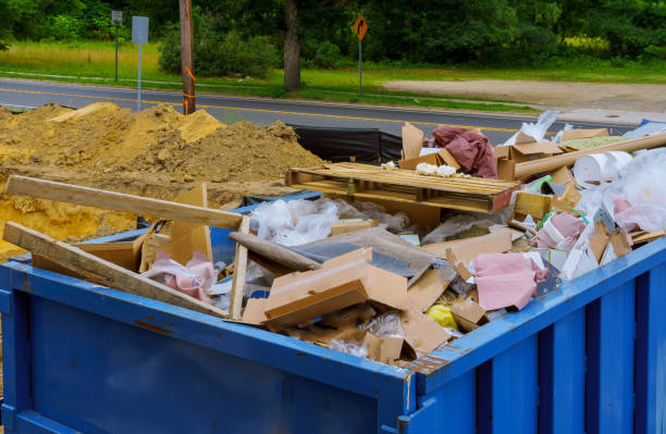 Best Shed Removal in USA